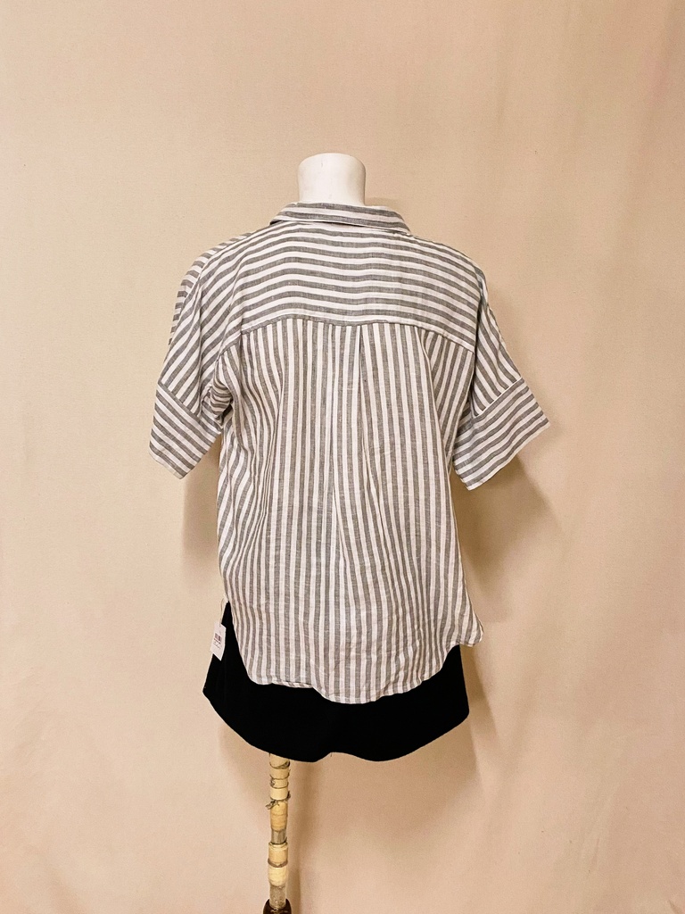 CÁ TRÍCH MÀU XANH-SHIRT