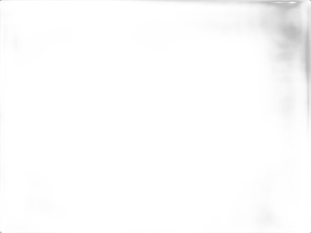 ASSORTED BRAND-T-SHIRT