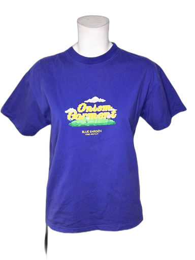 [S07739G-027] ASSORTED BRAND-T-SHIRT